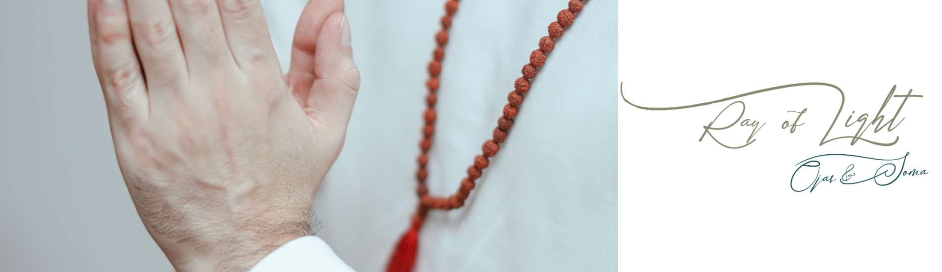 rudraksha