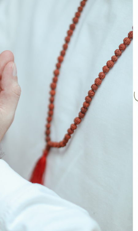 rudraksha