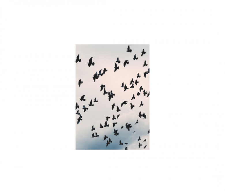 arts divinatoires inde