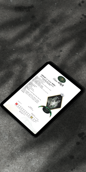 Ebook - Un Souffle de Lumière - Les 27 Nakshatras de l'astrologie jyotiṣa