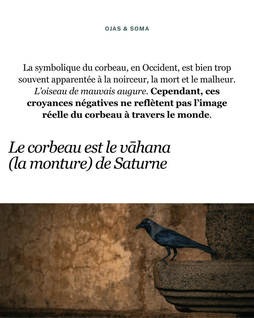 saturne